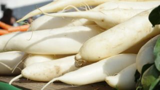 radishes-samune