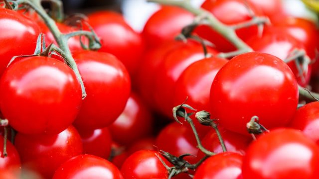 tomato-samune